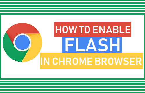 enabling flash on chrome for mac mini